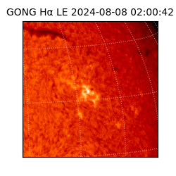 gong - 2024-08-08T02:00:42