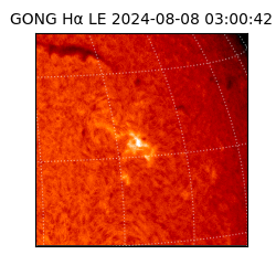 gong - 2024-08-08T03:00:42