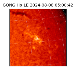 gong - 2024-08-08T05:00:42