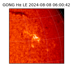 gong - 2024-08-08T06:00:42