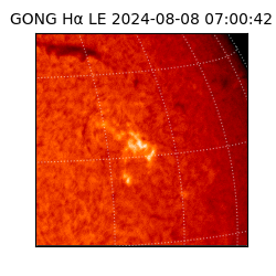 gong - 2024-08-08T07:00:42