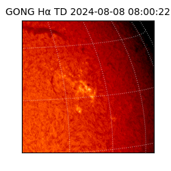 gong - 2024-08-08T08:00:22
