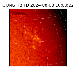 gong - 2024-08-08T10:00:22