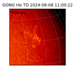 gong - 2024-08-08T11:00:22