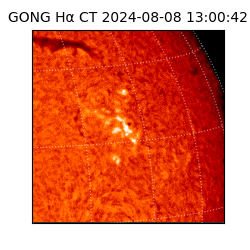 gong - 2024-08-08T13:00:42