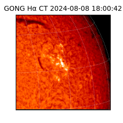 gong - 2024-08-08T18:00:42