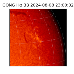 gong - 2024-08-08T23:00:02