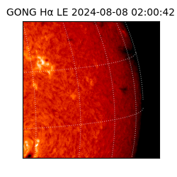 gong - 2024-08-08T02:00:42