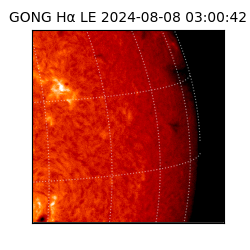 gong - 2024-08-08T03:00:42