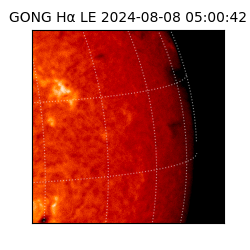 gong - 2024-08-08T05:00:42
