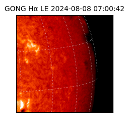 gong - 2024-08-08T07:00:42