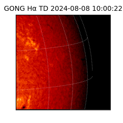 gong - 2024-08-08T10:00:22