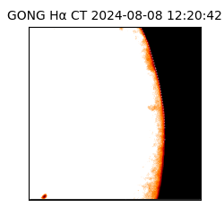 gong - 2024-08-08T12:20:42