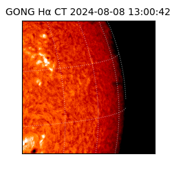 gong - 2024-08-08T13:00:42