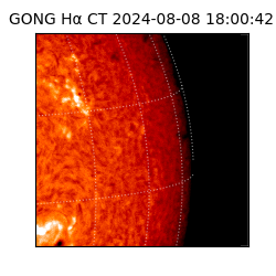 gong - 2024-08-08T18:00:42