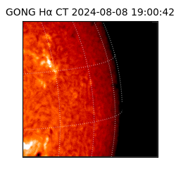 gong - 2024-08-08T19:00:42
