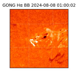 gong - 2024-08-08T01:00:02