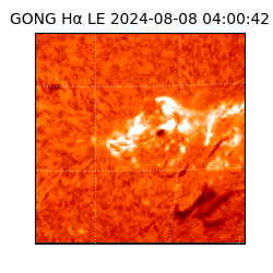 gong - 2024-08-08T04:00:42