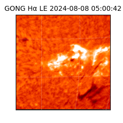 gong - 2024-08-08T05:00:42