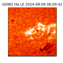 gong - 2024-08-08T06:00:42