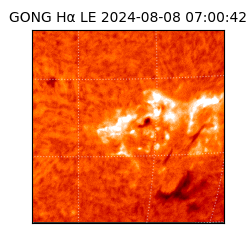 gong - 2024-08-08T07:00:42