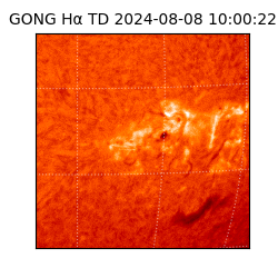 gong - 2024-08-08T10:00:22