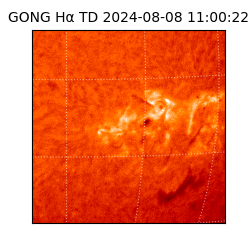 gong - 2024-08-08T11:00:22