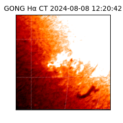 gong - 2024-08-08T12:20:42
