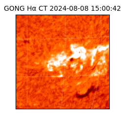 gong - 2024-08-08T15:00:42