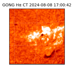gong - 2024-08-08T17:00:42