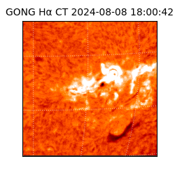 gong - 2024-08-08T18:00:42