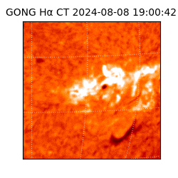 gong - 2024-08-08T19:00:42