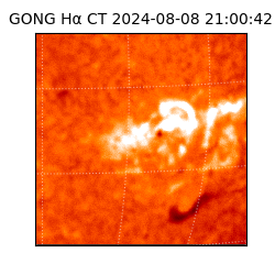 gong - 2024-08-08T21:00:42