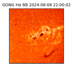 gong - 2024-08-08T22:00:02