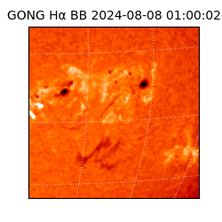 gong - 2024-08-08T01:00:02