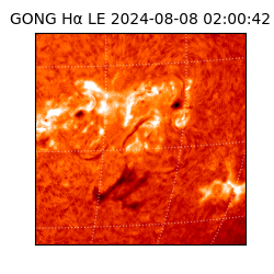gong - 2024-08-08T02:00:42