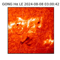 gong - 2024-08-08T03:00:42