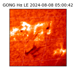 gong - 2024-08-08T05:00:42