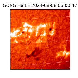 gong - 2024-08-08T06:00:42