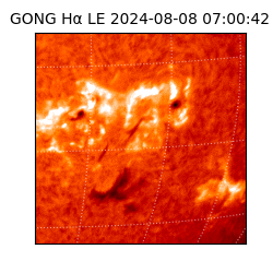 gong - 2024-08-08T07:00:42