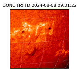 gong - 2024-08-08T09:01:22