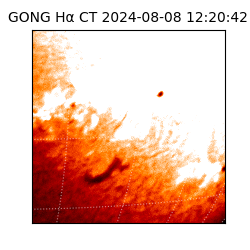 gong - 2024-08-08T12:20:42