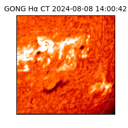 gong - 2024-08-08T14:00:42