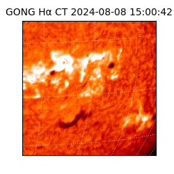 gong - 2024-08-08T15:00:42