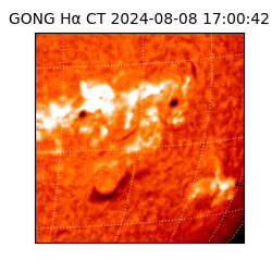 gong - 2024-08-08T17:00:42