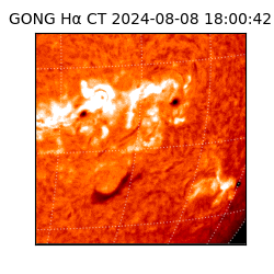 gong - 2024-08-08T18:00:42