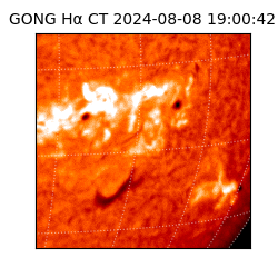gong - 2024-08-08T19:00:42