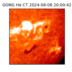 gong - 2024-08-08T20:00:42
