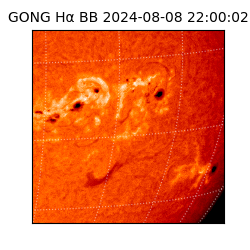 gong - 2024-08-08T22:00:02
