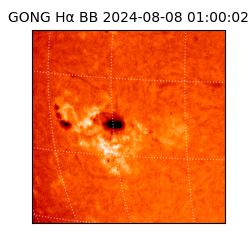gong - 2024-08-08T01:00:02